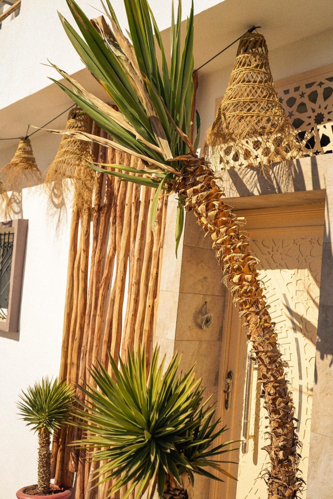 Wild Surf Morocco Bed and Breakfast Tamraght Exterior foto